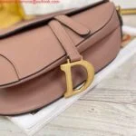 Replica Dior M0446 Dior Saddle Bag M0447 Light Pink Goatskin Gold Hardware