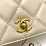 chanel-calf-leather-single-flap-bag-as8869-2.jpg