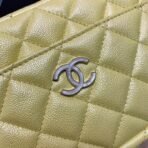 chanel-camera-case-a1003-3.jpg