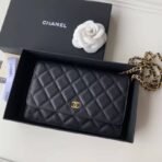 chanel-caviar-quilted-wallet-on-chain-woc-a33814-1.jpg