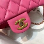 chanel-lambskin-flap-bag-as1787-2.jpg