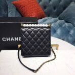chanel-small-pearl-chain-flap-bag-as0584-2.jpg